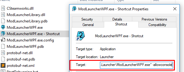 Adding the -allowconsole launch option to the shortcut's target file