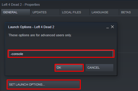 Left 4 Dead 2 console launch options