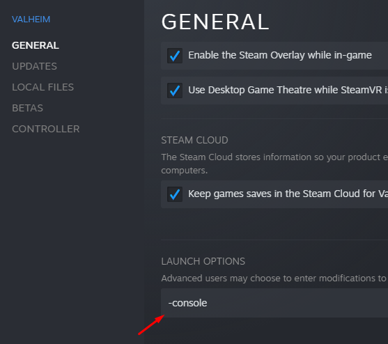 Valheim Steam console launch option
