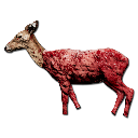 Skinned Deer