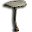 Cone-headed Tuber-leaved Mushroom
