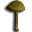 Green Tuber Leaf Mushroom